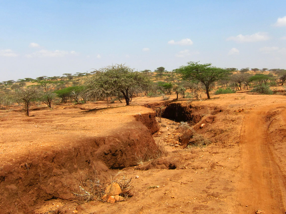 new-land-degradation-neutrality-goal-to-accelerate-global-restoration